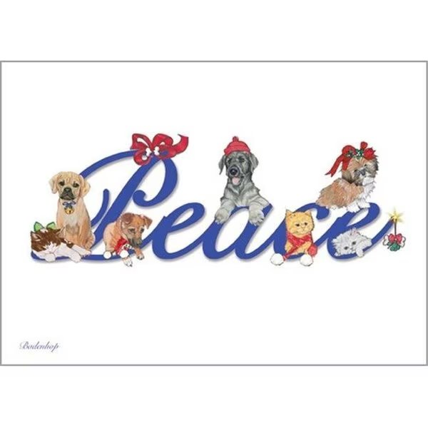 Pipsqueak Productions C703 Peace Mix Dog with Cat Christmas Boxed Cards - Pack of 10, Pipsqueak Productions, Mfr#: C703